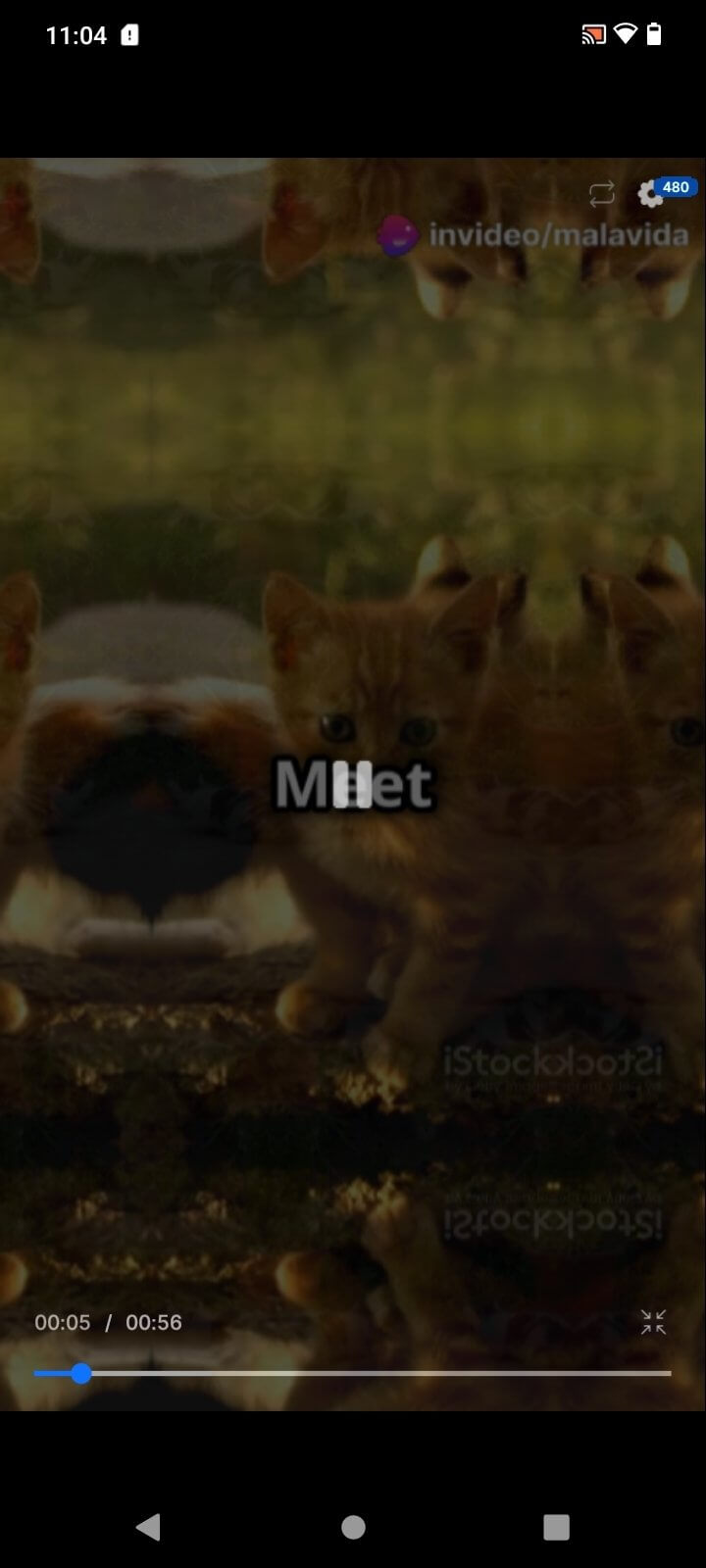 Screenshot Invideo AI APK