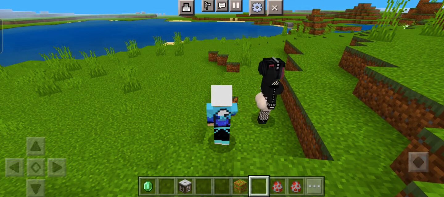Screenshot Minecraft Jenny APK