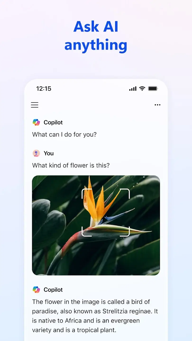 Screenshot Microsoft CoPilot APK